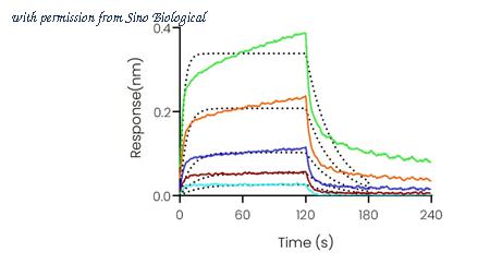 Sino Biological 91049-C08H image 1