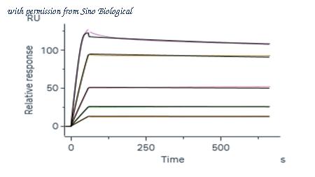 Sino Biological 65177-T08H image 1