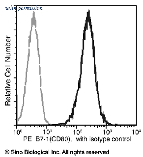 Sino Biological 10698-MM01-P image 1