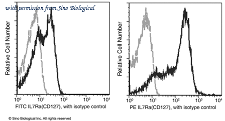 Sino Biological 10975-R014-P image 1