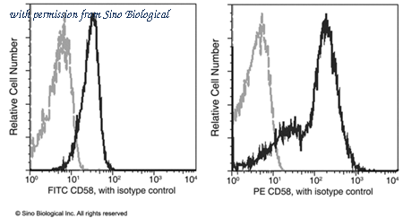 Sino Biological 12409-MM05-P image 1