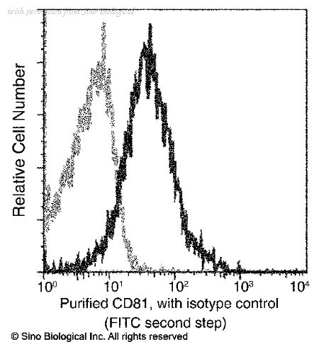 Sino Biological 14244-MM03 image 1