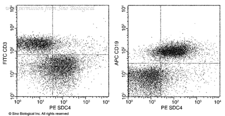 Sino Biological 50726-R112-P image 1