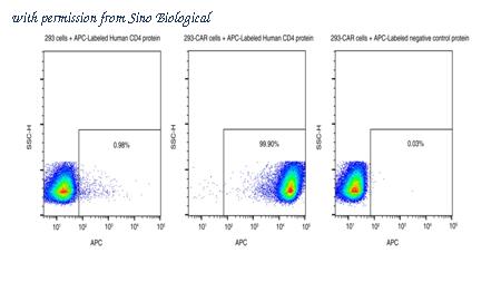 Sino Biological 10400-H86H-SA image 1