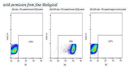 Sino Biological 10777-H86H-SP image 1