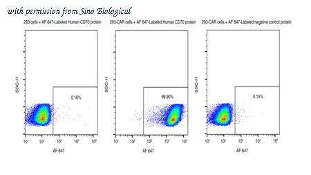 Sino Biological 10780-H85H5-SG image 1