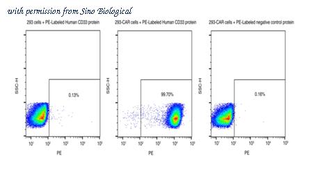 Sino Biological 12238-H86H-SP image 1