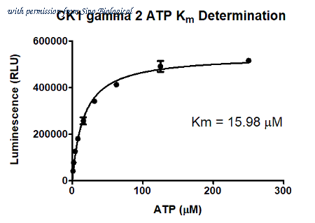 Sino Biological C68-10BG image 1
