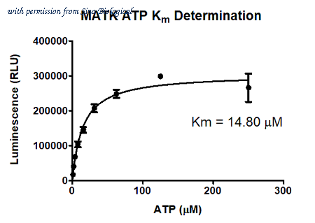 Sino Biological M49-10G image 1