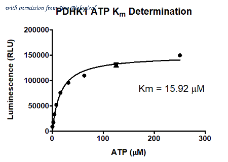 Sino Biological P57-10G image 1
