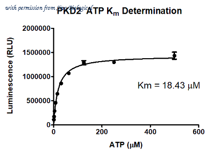 Sino Biological P76-10G image 1
