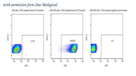 Sino Biological 10445-H86H-SA image 1
