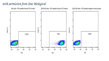 Sino Biological 11028-H86H-SP image 1