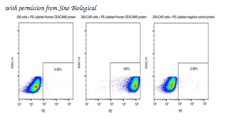 Sino Biological 11077-H86H-SP image 1