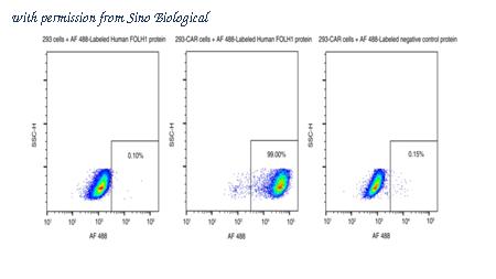 Sino Biological 15877-H85C-SD image 1