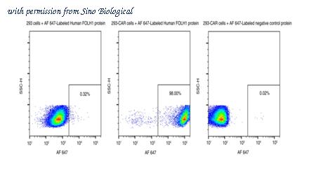 Sino Biological 15877-H85C-SG image 1