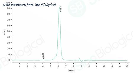Sino Biological 41094-V49H image 1