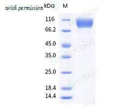 Sino Biological 5A0850-M08H image 1