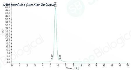 Sino Biological 11647-H08H-UE image 1