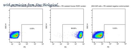 Sino Biological 13968-H86H-SP image 1