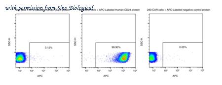 Sino Biological 11030-H02H-A image 1