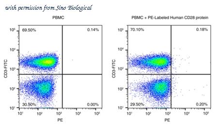Sino Biological 11524-H86H-SP image 1