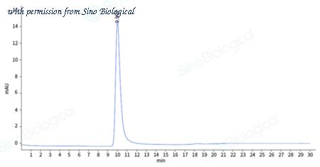 Sino Biological VLP-HC01 image 1