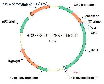 Sino Biological HG27334-UT image 1