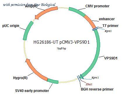 Sino Biological HG26186-UT image 1