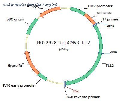 Sino Biological HG22928-UT image 1