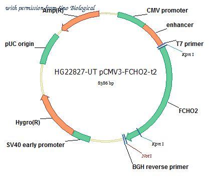 Sino Biological HG22827-UT image 1