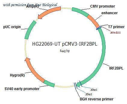 Sino Biological HG22069-UT image 1