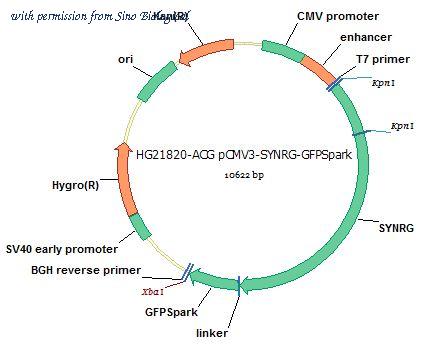 Sino Biological HG21820-ACG image 1