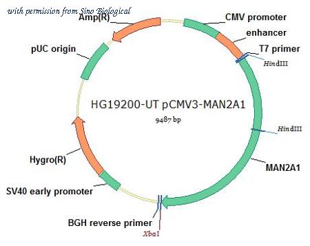 Sino Biological HG19200-UT image 1
