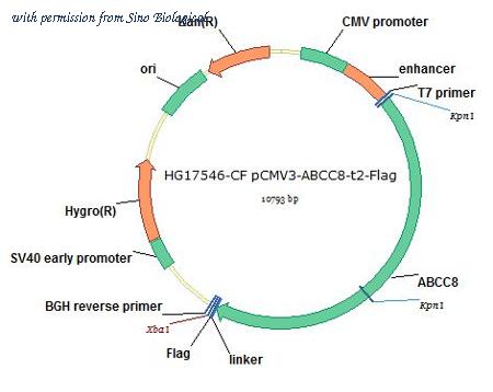 Sino Biological HG17546-CF image 1