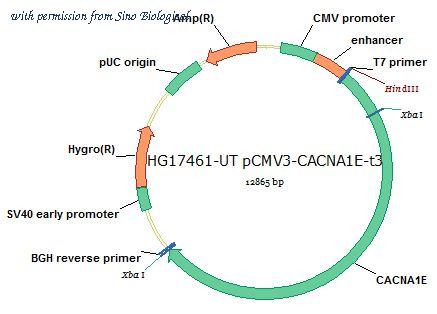 Sino Biological HG17461-UT image 1