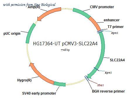 Sino Biological HG17364-UT image 1