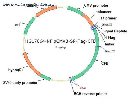 Sino Biological HG17064-NF image 1