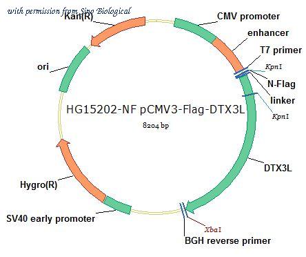 Sino Biological HG15202-NF image 1