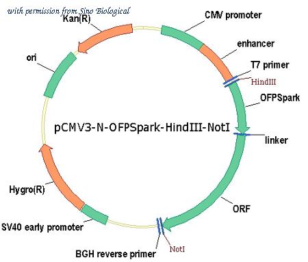 Sino Biological HG14128-ANR image 1