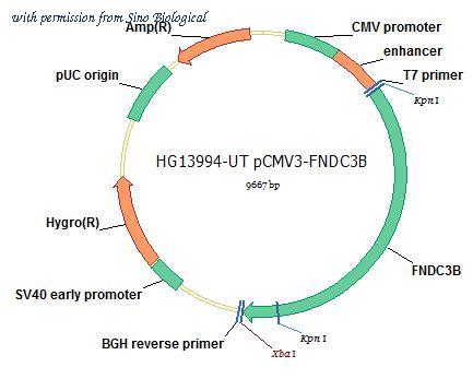 Sino Biological HG13994-UT image 1