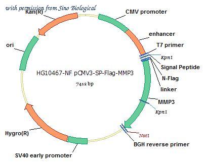 Sino Biological HG10467-NF image 1