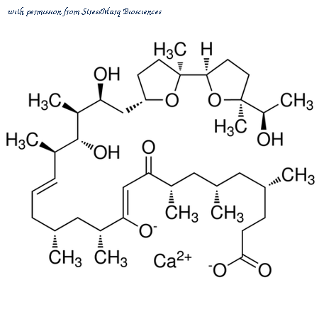 StressMarq Biosciences SPC-185D image 1