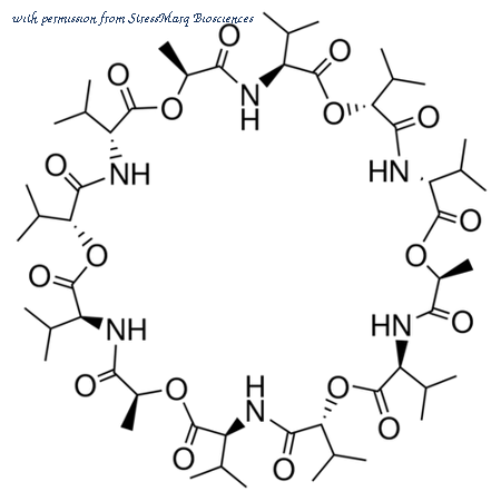 StressMarq Biosciences SPC-187D image 1