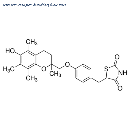 StressMarq Biosciences SPC-306B image 1