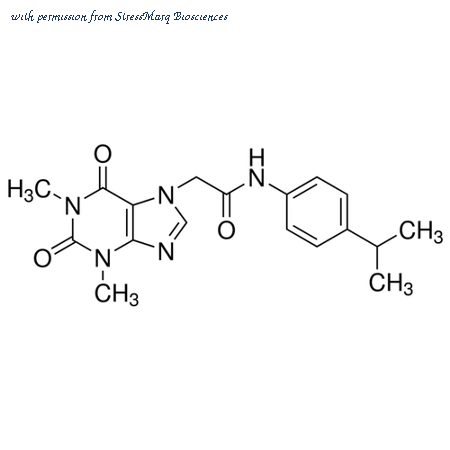 StressMarq Biosciences SPC-316D image 1