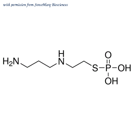 StressMarq Biosciences SIH-210-10MG image 1