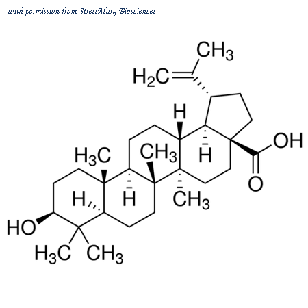 StressMarq Biosciences SIH-221-10MG image 1