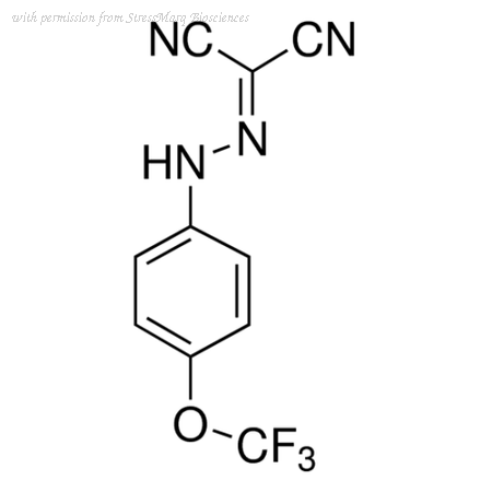 StressMarq Biosciences SIH-222 image 1