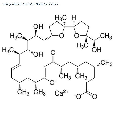 StressMarq Biosciences SIH-228-1MG image 1